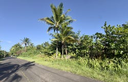 OLIANA DR, Pahoa, HI 96778