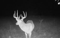 1838 County Road 343, Dublin, TX 76446
