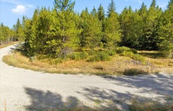 Sawbuck Rd lot: 3, Spirit Lake, ID 83869