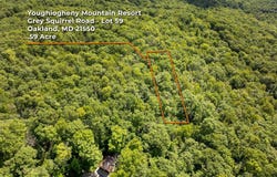 GREY SQUIRREL Road, OAKLAND, MD 21550
