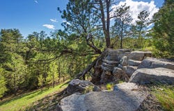 50 Acres 10321 Two Track Trail, Custer County, SD 57735