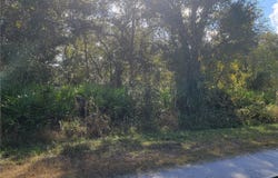9460 ROUSSEAU Street, WEBSTER, FL 33597