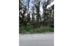SW 81st Ter, Trenton, FL 32693