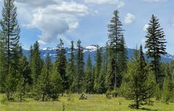 375 Remicks Road, Condon, MT 59826