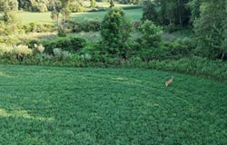 1675 Robinson Road, Ubly, MI 48475