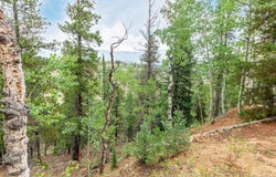 427 Wise Road, Bailey, CO 80421