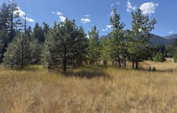 13740 Red Fox Lane, BakerCity, OR 97814
