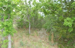 441 Tom Tom, Smithville, TX 78957