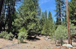 83 Paiute Trail, Graeagle, CA 96103