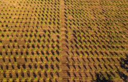 10370 Briggs Road, Red Bluff, CA 96080
