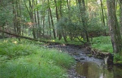 590 Cranberry Creek Road, CRESCO, PA 18326
