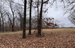 340, Jay, OK 74346