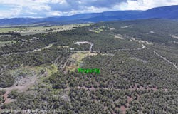 12705 55 Road, Collbran, CO 81624