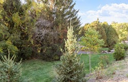 390 North Rd, Bedford, MA 01730