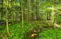 0WP Ridge Rd, Otselic, NY 13464
