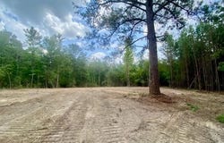 SE Lee Drive, Bogue Chitto, MS 39629