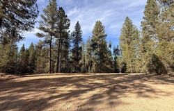 34 Laurins Lane, Cascade, ID 83611