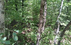 95,96 Three Rivers, Honobia, OK 74957