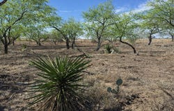 105 SYLAS HAYES LOOP, Pleasanton, TX 78064