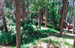 590 Electra Drive, Crestline, CA 92325