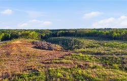 Highway 269, Parrish, AL 35580