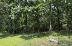 2421 285Th Avenue, Weldon, IA 50264