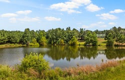 140 County Road 2242, Daingerfield, TX 75638