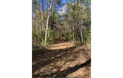3449 Mosevej/Marsh, Askov, MN 55704
