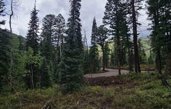 256 Snowden Drive Lot # 3, Durango, CO 81301