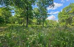 65 Gunslinger Drive, Brixey, MO 65618