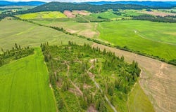 Parcel 1 Freedom Way Rd, Plummer, ID 83851