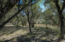 286 private road 1733, Mico, TX 78056