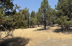 N Pencil Rd, Alturas, CA 96101