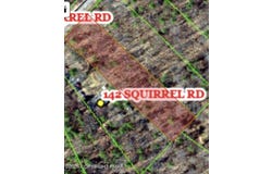 Squirrel Road, Dingmans Ferry, PA 18328