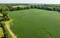 Webster Road, Centerburg, OH 43011