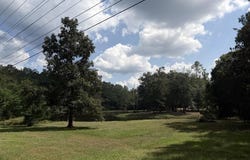 455 Spur Line, ELLISVILLE, MS 39437