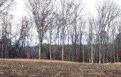 The Bluffs, Edgemont, AR 72088