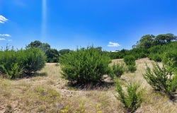 Elm Valley Court, Ingram, TX 78025