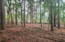 371 County Road 4152, Pittsburg, TX 75686