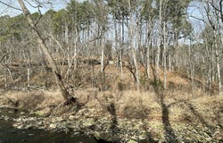 Forest Drive, Houston, MO 65483
