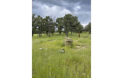 165 Reid Road, Datil, NM 87821