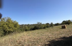 Greentown Road, Buffalo, MO 65622