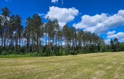 BAADE RD lot: 3, Monico, WI 54501