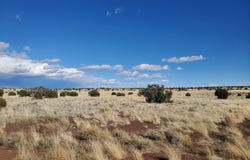 CR 5105, Concho, AZ 85924