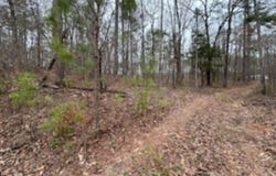 HIGHWAY 55 lot: 0, WILSONVILLE, AL 35186