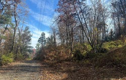 WILD TURKEY Drive, SPRING MILLS, PA 16875