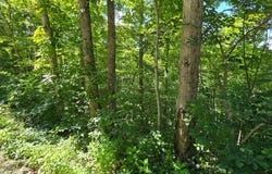 2082 Roberts Bend Road, Burnside, KY 42519