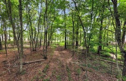 Raulston Falls Road, Jasper, TN 37347