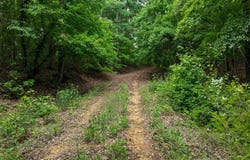 Bay Lane, Harrisburg, AR 72432