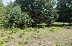 E Sandy Lane, Cedar, MI 49621